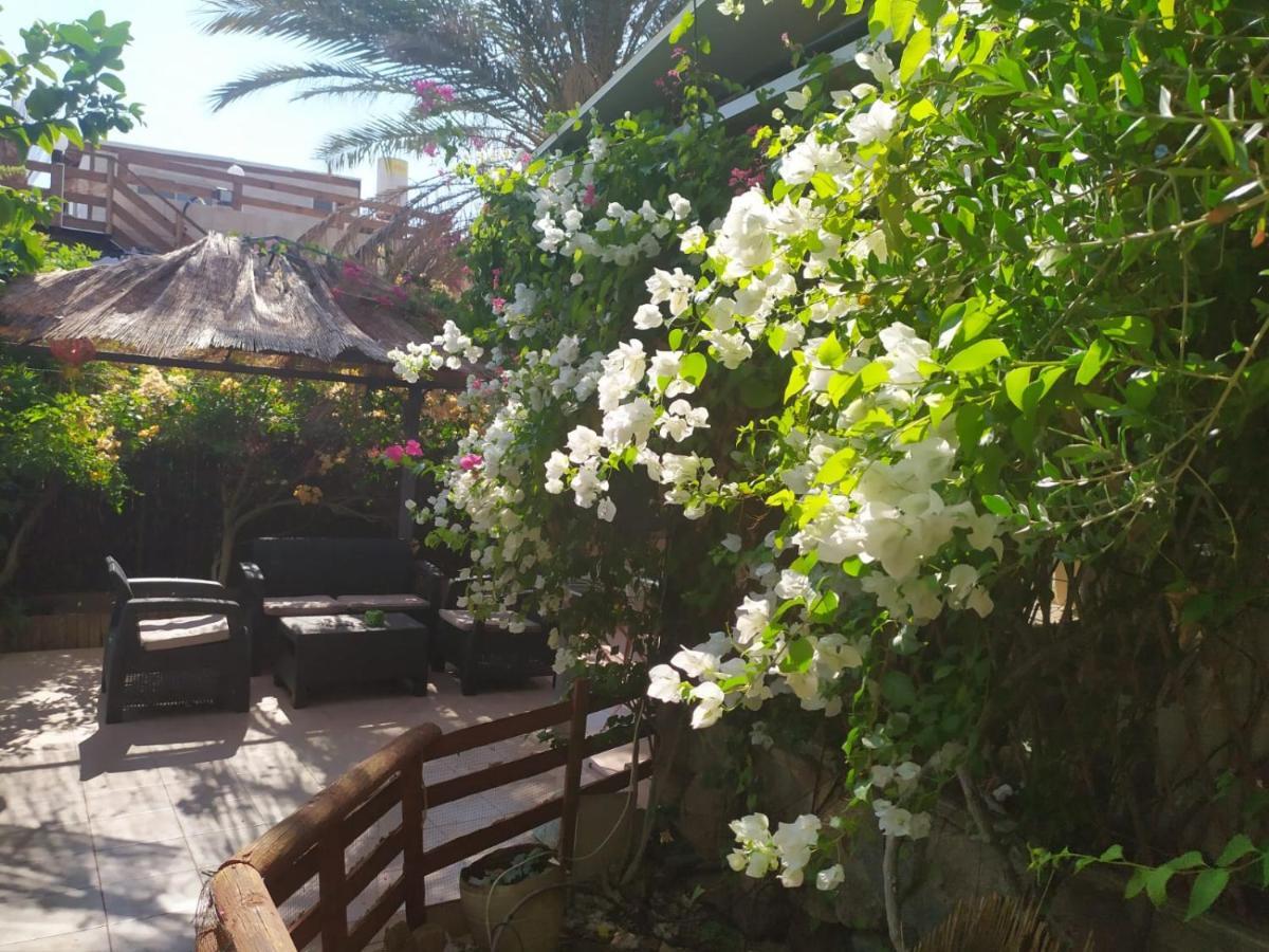 Appartamento Lotus Turtle Garden Eilat Esterno foto