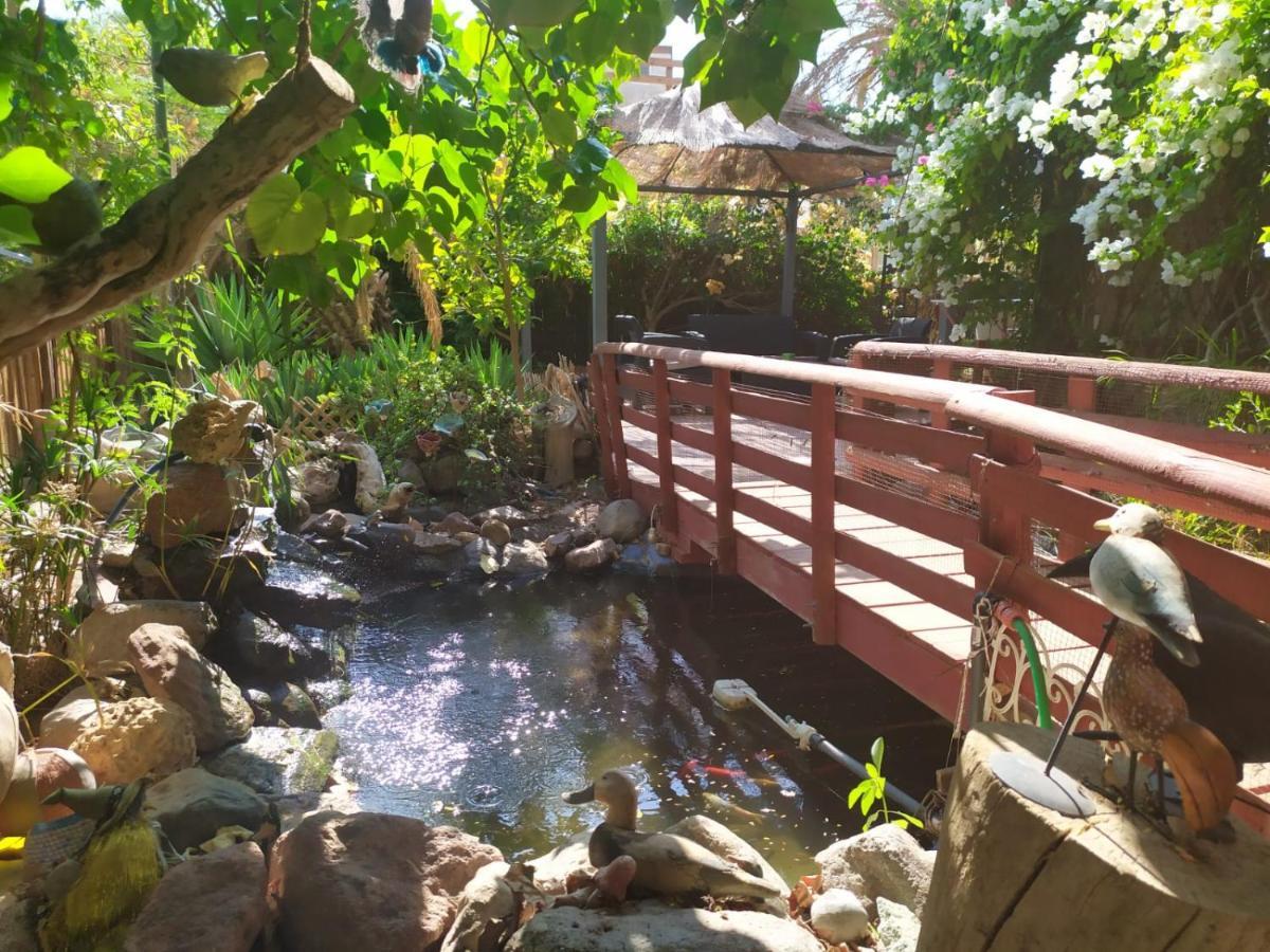 Appartamento Lotus Turtle Garden Eilat Esterno foto