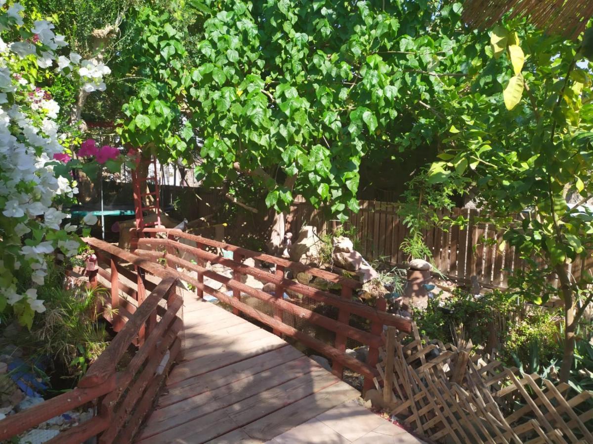 Appartamento Lotus Turtle Garden Eilat Esterno foto