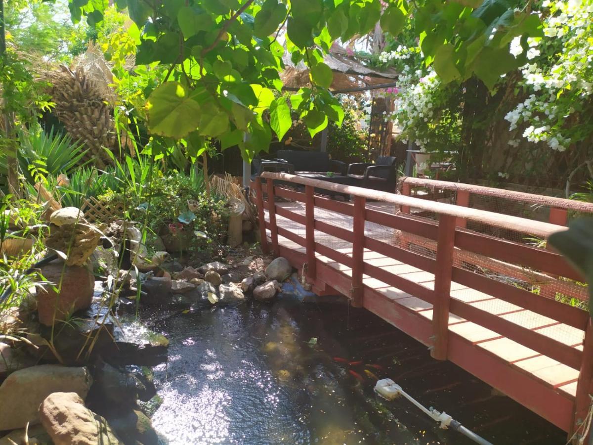 Appartamento Lotus Turtle Garden Eilat Esterno foto